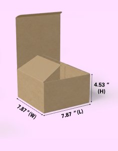 Tuck & Tuck Brown Box (3 Ply) 7.87x7.87x4.53 Inch