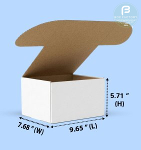 Mailer White Box (3 Ply) 9.65x7.68x5.71 Inch